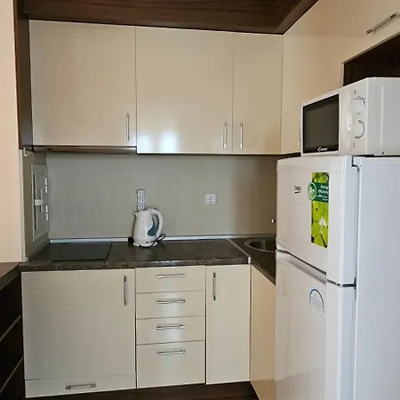 Apartment Veleka *